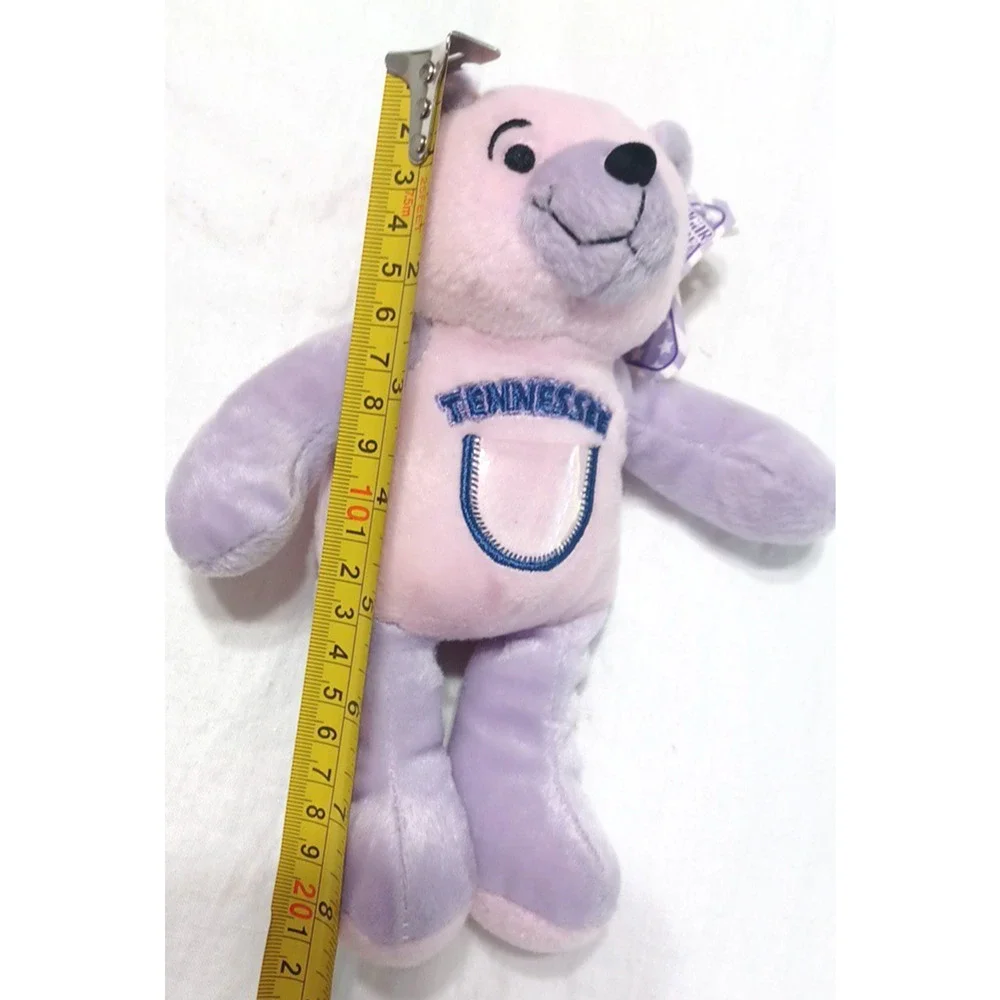 Sugar Loaf Two Bits Tennessee 16th USA Flag Pink Purple Plush Bear 8 1/2